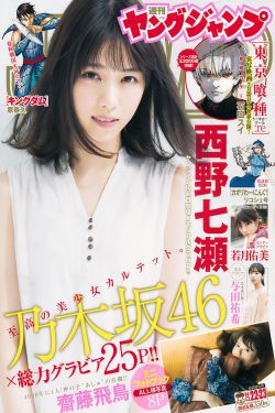 十大奇冤第35集